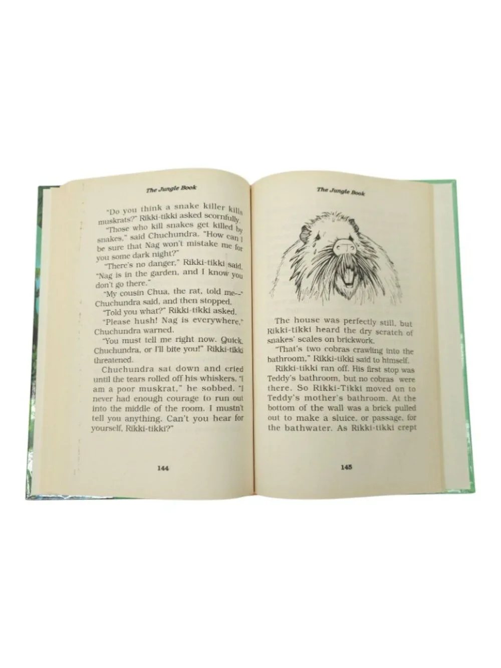 Treasury of Illustrated Classics The Jungle Book Hardcover Rudyard Kipling Kids